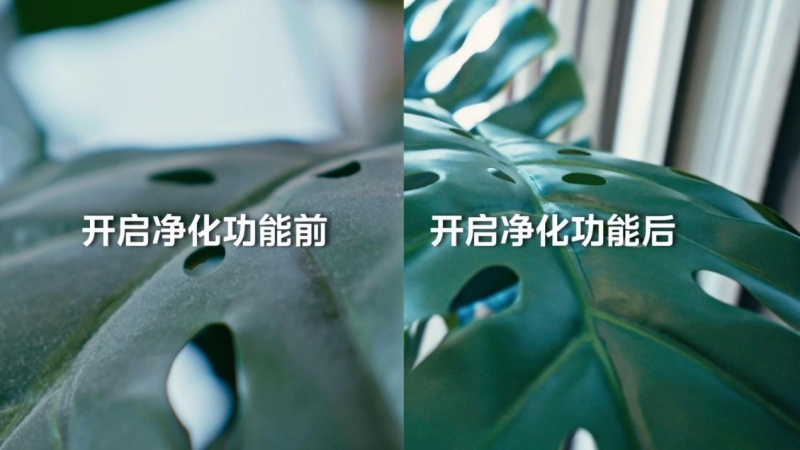 //upload.cheaa.com/2023/0525/1684999488120