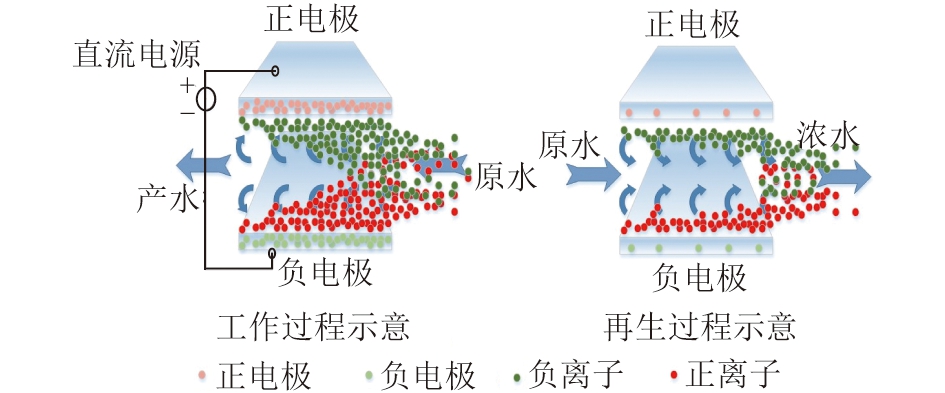 华北电力大学马双忱教授：电吸附技术在电力行业废水处理中的应用